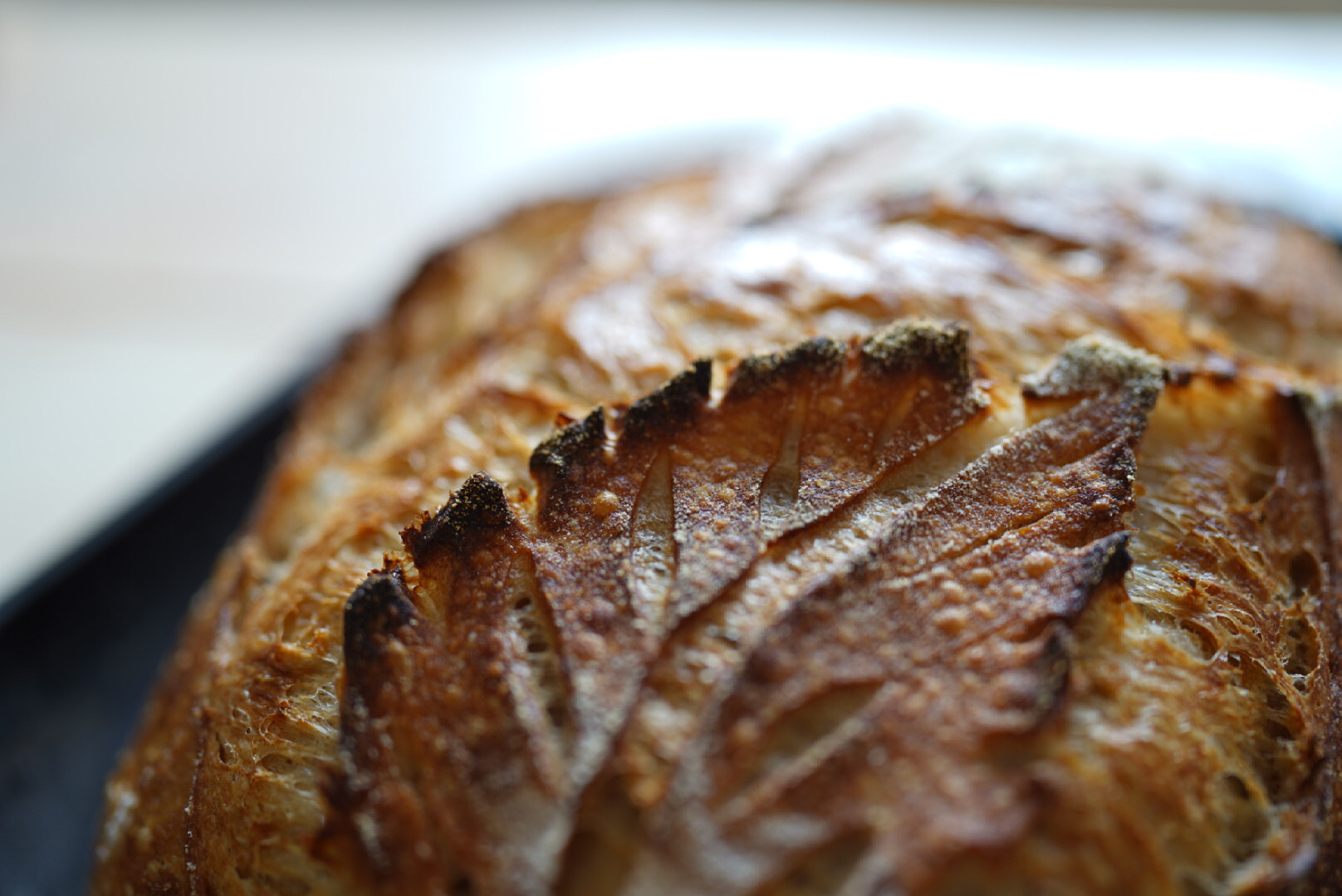 The Sourdough Revolution: A Beginner's Sourdough Recipe and a Review of the Challenger  Bread Pan